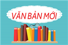 Thông báo sinh hoạt Hội Kế toán TP.HCM tháng 6 năm 2026